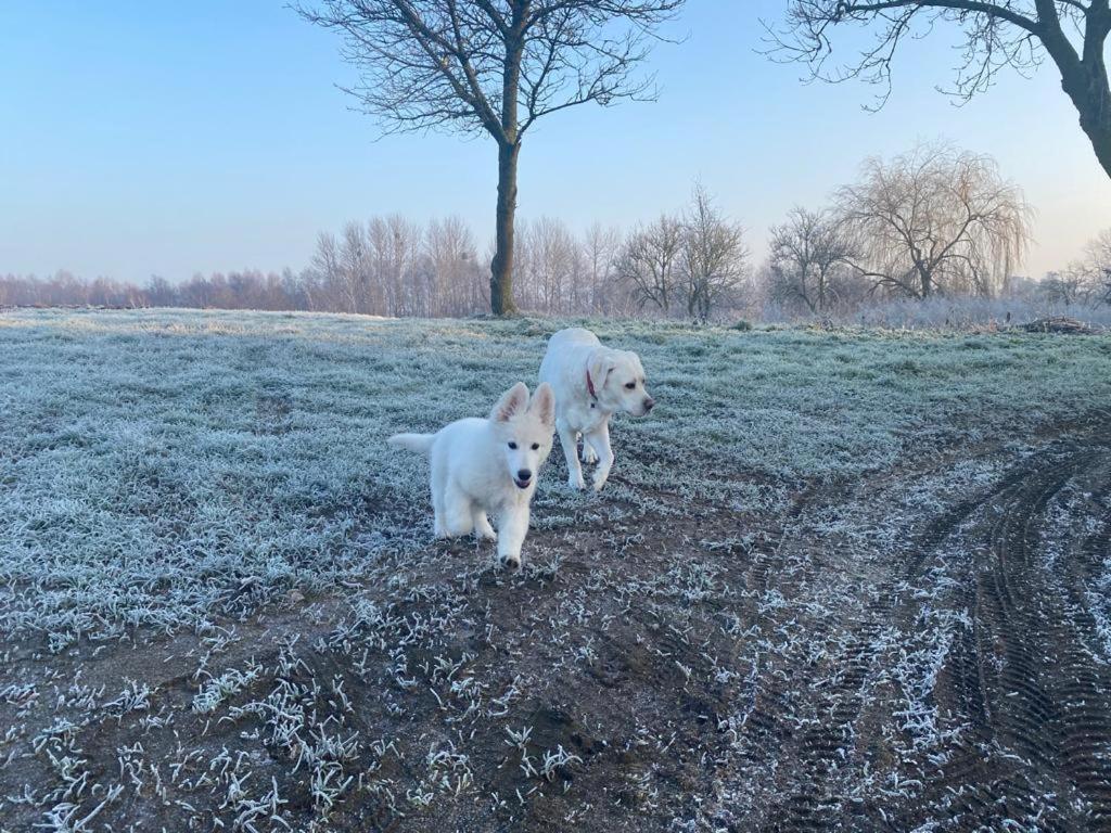Dom Goscinny Lerka - 240 M2 Mazury Jeziora Lasy Lakorz Dış mekan fotoğraf