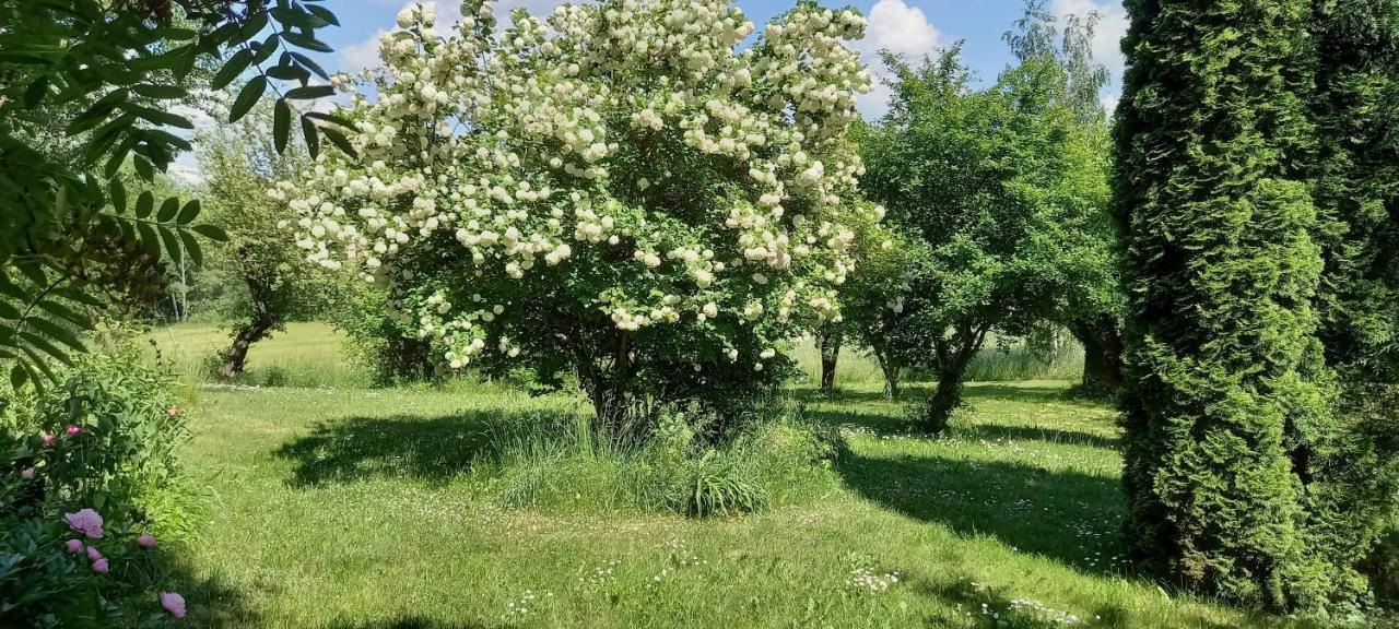 Dom Goscinny Lerka - 240 M2 Mazury Jeziora Lasy Lakorz Dış mekan fotoğraf