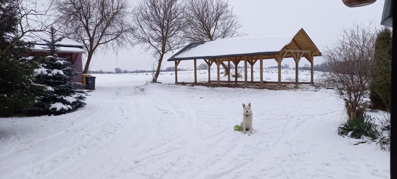 Dom Goscinny Lerka - 240 M2 Mazury Jeziora Lasy Lakorz Dış mekan fotoğraf