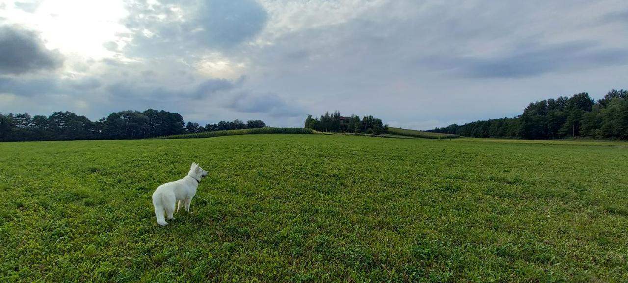 Dom Goscinny Lerka - 240 M2 Mazury Jeziora Lasy Lakorz Dış mekan fotoğraf