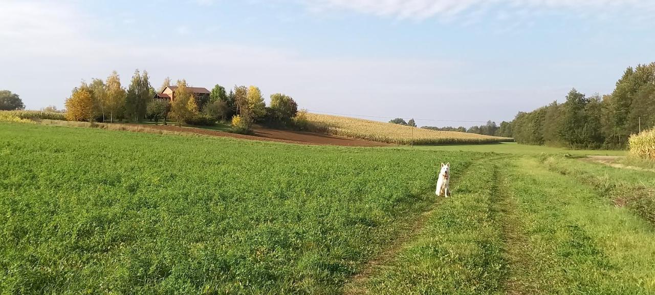 Dom Goscinny Lerka - 240 M2 Mazury Jeziora Lasy Lakorz Dış mekan fotoğraf