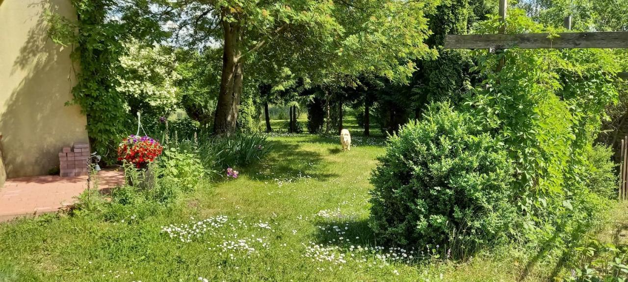 Dom Goscinny Lerka - 240 M2 Mazury Jeziora Lasy Lakorz Dış mekan fotoğraf