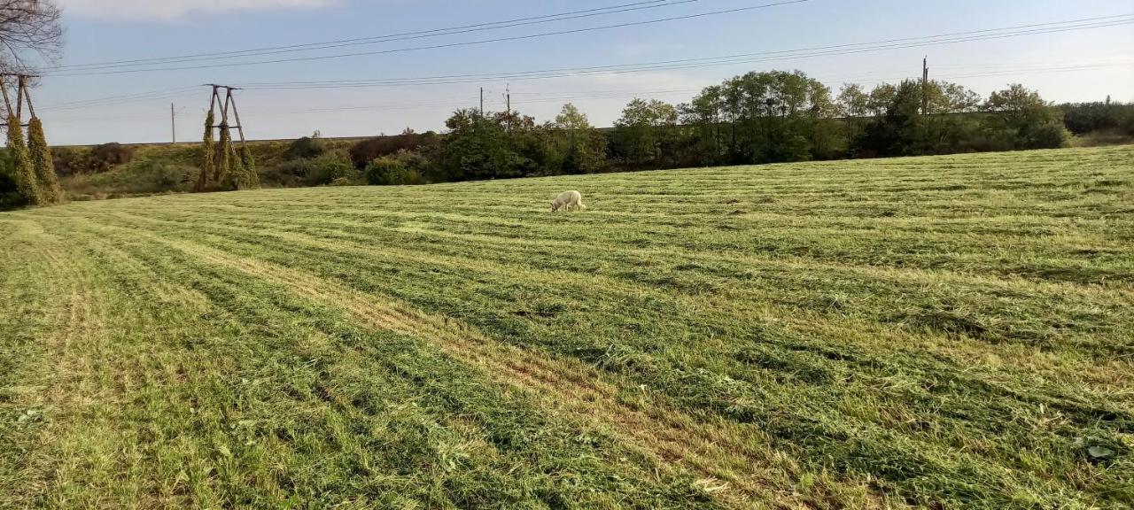 Dom Goscinny Lerka - 240 M2 Mazury Jeziora Lasy Lakorz Dış mekan fotoğraf