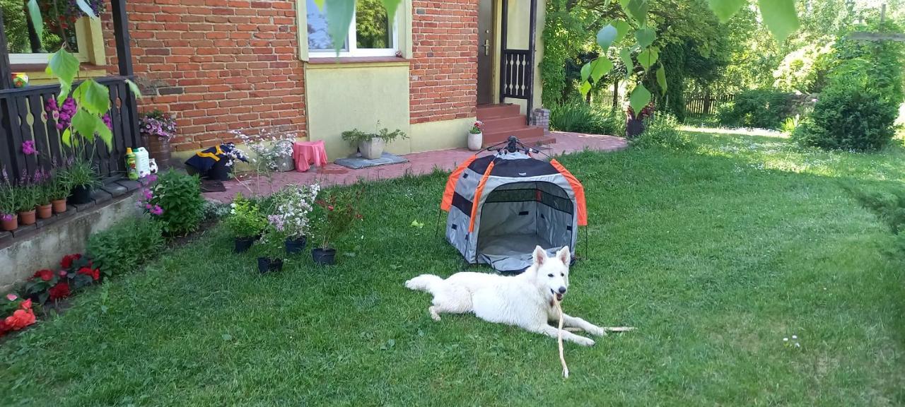 Dom Goscinny Lerka - 240 M2 Mazury Jeziora Lasy Lakorz Dış mekan fotoğraf